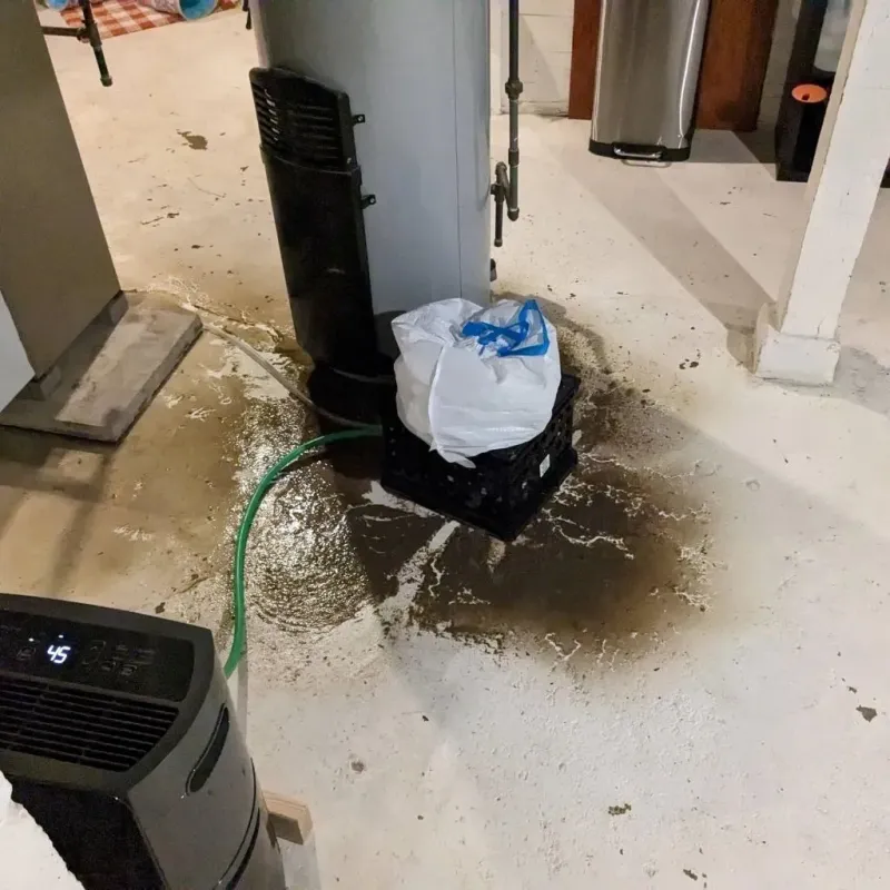 Sewage Backup Cleanup Service in Laclede County, MO
